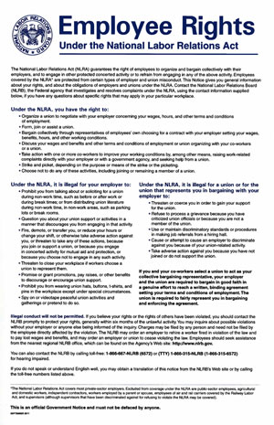 Employee Rights Poster
